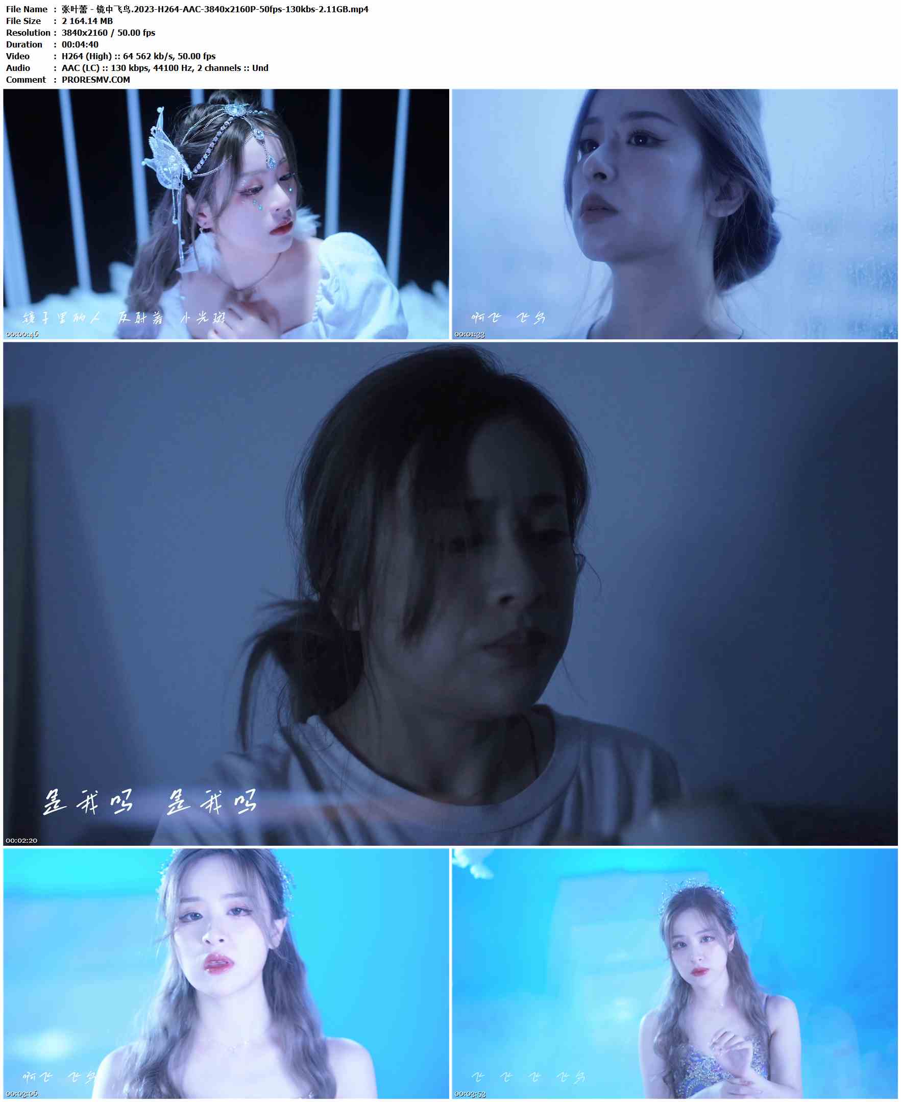 张叶蕾 - 镜中飞鸟.2023-H264-AAC-3840x2160P-50fps-130kbs-2.11GB官方MV_高清MV